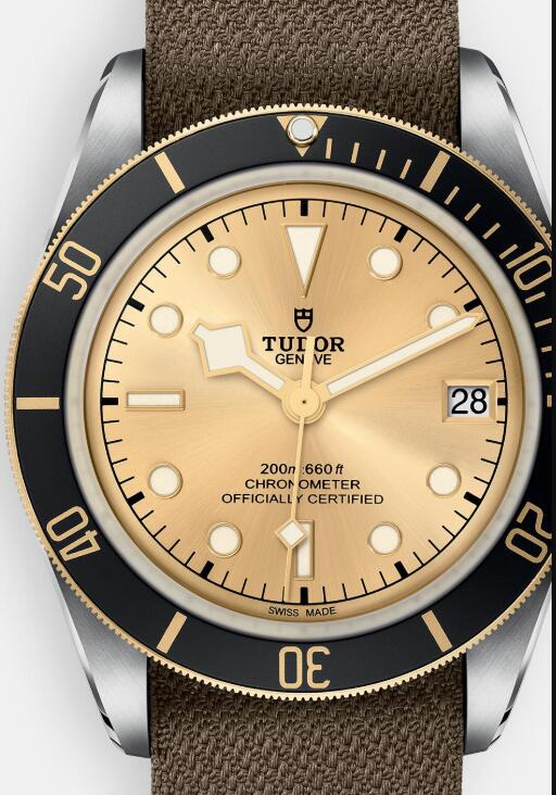 Tudor BLACK BAY S&G M79733N-0006 Replica Watch